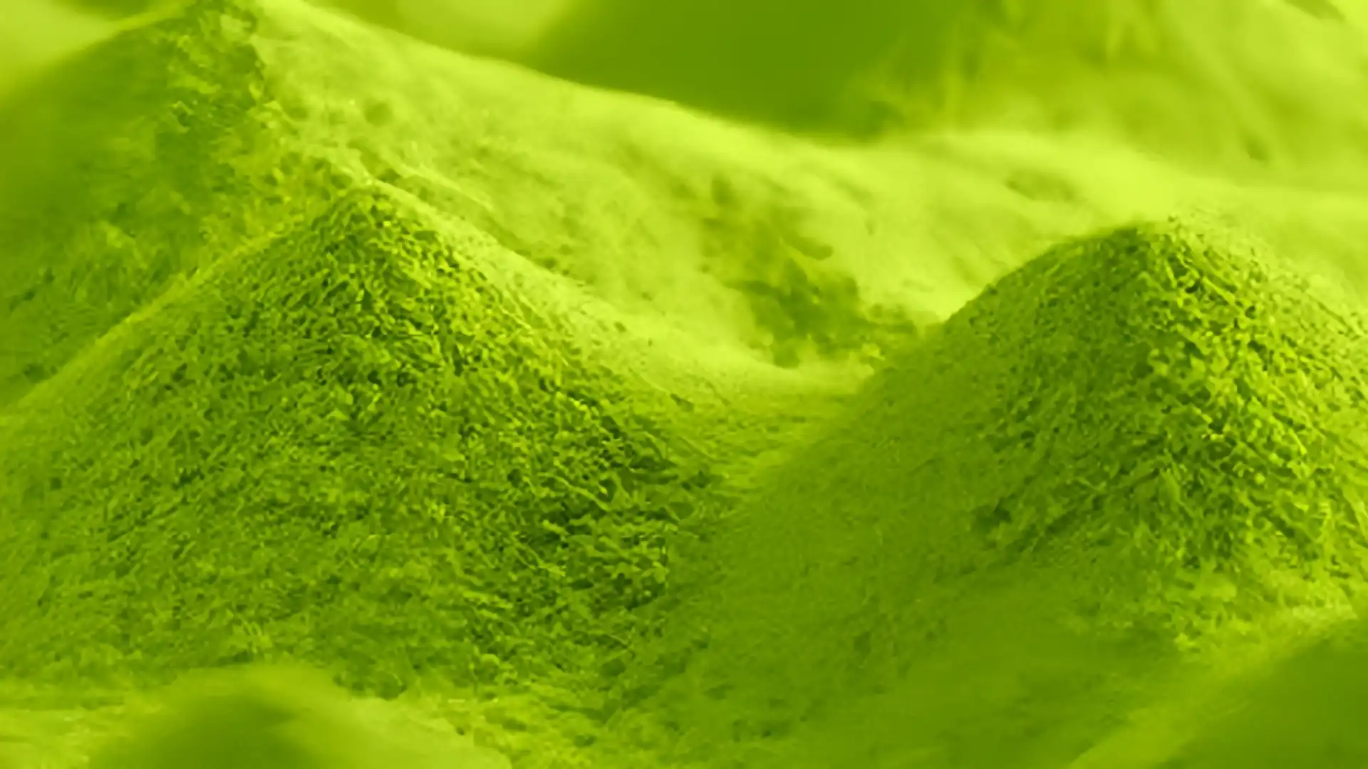 What defines the superior quality of AAA Grade Matcha Powder?